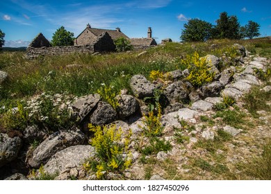 Bellecoste In Lozere In France