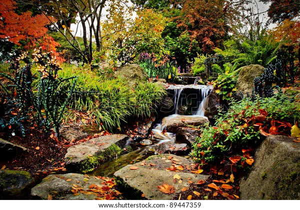 Bellevue Botanical Garden Stock Photo Edit Now 89447359