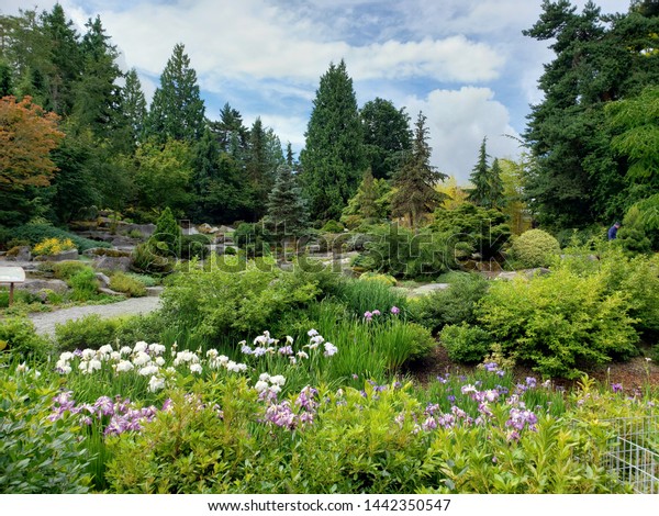 Bellevue Botanical Garden Bellevue Washington Stock Image