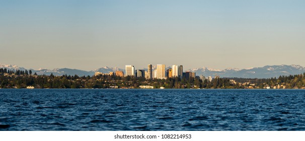 Bellevue Skyline - Madrona Park