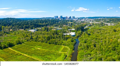 Bellevue Washington USA Aerial Landscape Establishing Shot Of City From Mercer Slough