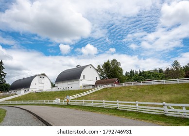 Creek On Farm Images Stock Photos Vectors Shutterstock