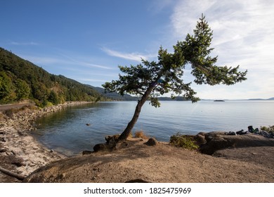 Bellingham Bay At Teddy Bear Cove Chuckanut Mountain Trails Washington State