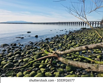 Bellingham Bay, WA