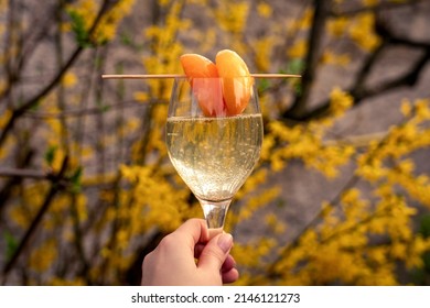 Bellini with prosecco and a peach, woman holding a glass outdoors, mixed alcoholic drink, yellow flowers bg