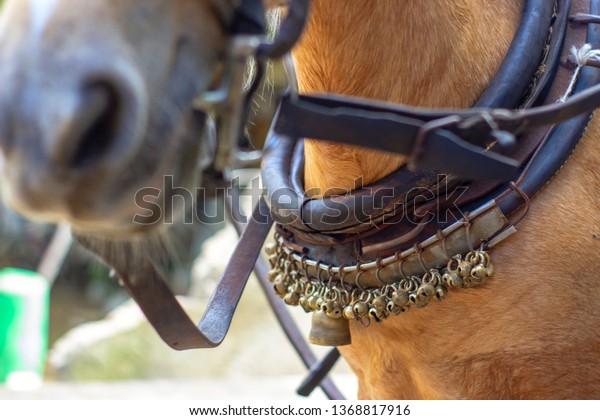 Bells on a horse-drawn sleigh decorate and give a\
signal that the horse is\
near
