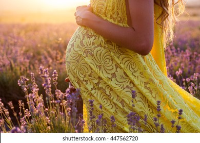 Belly of pregnant woman in a lavender field