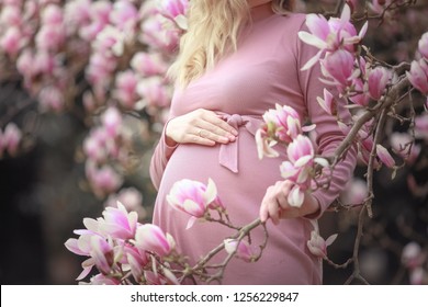 Belly Of A Pregnant Woman In Magnolia Flowers