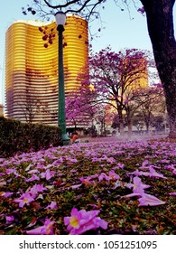 Belo Horizonte City Brazil