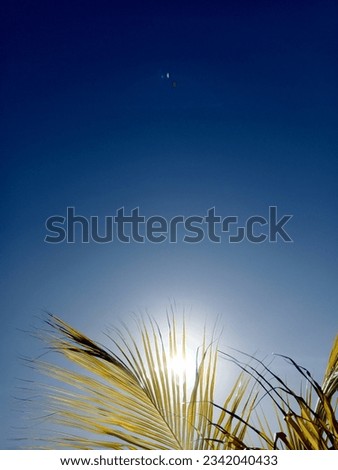 Similar – Image, Stock Photo Let the grass grow over it…