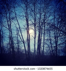 Beltane Moonrise Over The Meadow