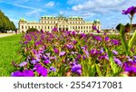 Belvedere Castle in Vienna, Austria. Amazing white castle captured in the background of purple flowers. belvedere castle during summer in Vienna, Austria