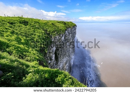 Bempton Cliffs: A Majestic Bird Sanctuary in Yorkshire