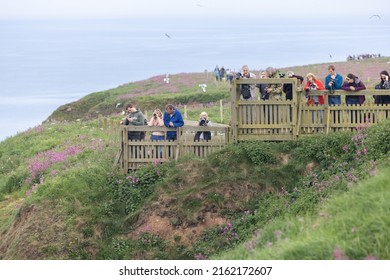 Bempton, UK 24 May 2022: People Birdwatching Standing On Viewing Deck At Bempton Cliffs, A Nature Reserve Run By The RSPB, At Bempton In The East Riding Of Yorkshire, England With Birds Flying Around