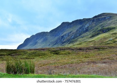 Ben Lawers National Nature Reserve, Perthshire, Scotland.