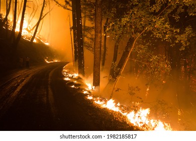 BEN LOMOND, CALIFORNIA - AUGUST 19, 2020: The CZU Lightning Complex Wildfire Burns Along Alba Road.