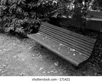 Bench