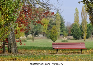 bench