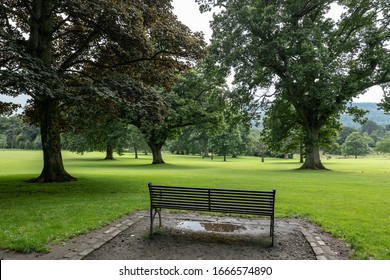 A bench add trees in a country park near Balloch Castle in Scotland where people can admire view and relax in tranquil nature