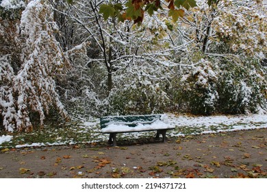 Bench After The First Snowfall