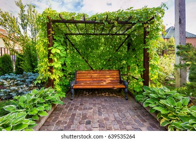 Bench In Arbor Overgrown With Ivy, Beautiful Home Garden. Stone Paving In Flower Garden, Landscape Design Of Backyard. Nice Landscaping With Cozy Canopy, Concept Of House Rest, Green Garden And Nature