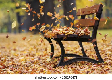 Bench in autumn park - Powered by Shutterstock