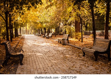 Bench in autumn park. Autumn landscape