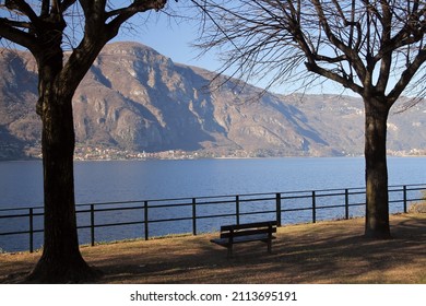 A bench between the trees looking towards the lake and the Alps on the Lake of Como in Italy