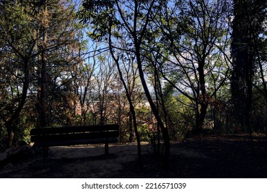 Bench By The Edge Of A Cliff In A Forest With A City Below It