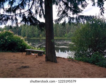bench by the river