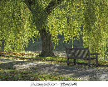 a bench in a country garden - Powered by Shutterstock