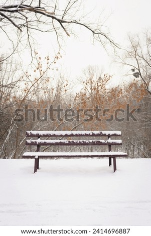 Bench covered with snow in frozen forest. Empty bench in snowy park. Winter weather. Wooden bench in park in snowfall. Peaceful winter nature. Climate changes. February landscape.