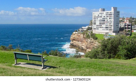 Bench In Dover Heights