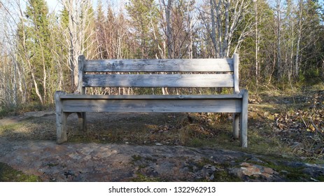 Bench in forest