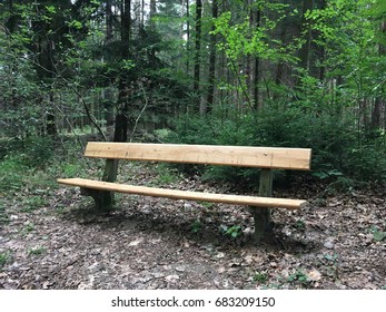 Bench in the Forest