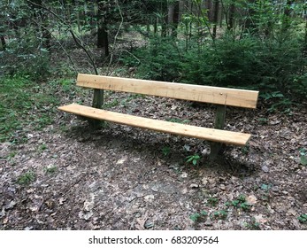 Bench in the Forest