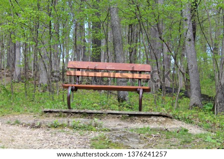 Bench In Forest