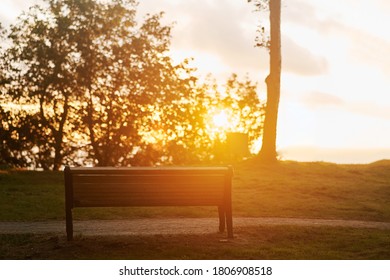 Bench in the forest against the backdrop of the setting sun