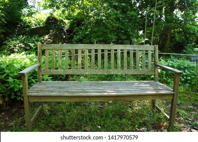 Bench in the forest no person - Shutterstock ID 1417970579