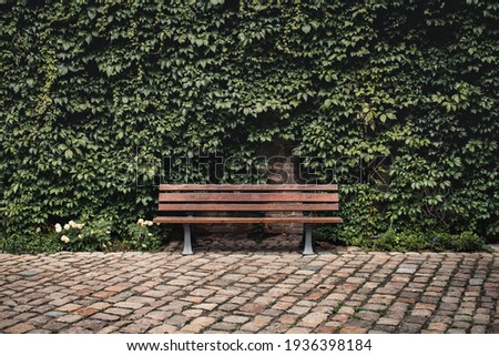 Bench in the green area  
