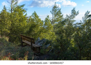 Bench In Hymettus (Ymittos) Mountain, Greece