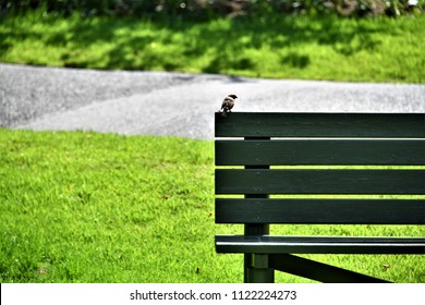 A bench landscape