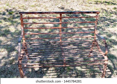 Bench In Lavender Field In Blanco Texas