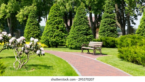 Bench In The Local Park