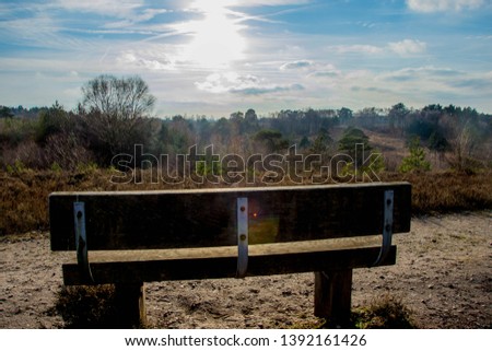 A bench looking out over a large forest basked in sunlight with cloudy blue skies.