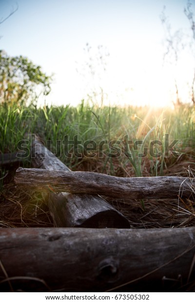 Bench Made Out Tree Trunks Logs Stock Photo Edit Now 673505302