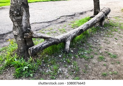 A bench made from a tree lying on the road. 