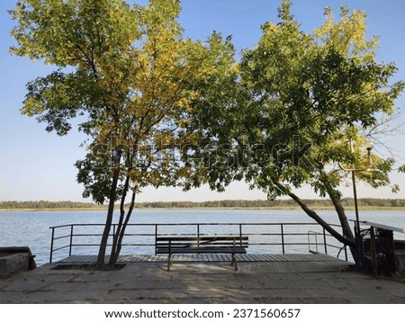 Bench in the middle with autumn trees on the sides overlooking the river 