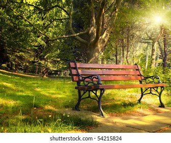 bench is in a morning green park