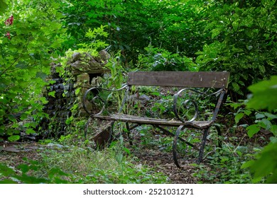 Bench in a nature park, Image shows a aged sitting bench along a footpath in a nature park surrounded by shrubs and greenery 